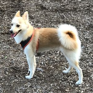 Meet your Posher, Lynne